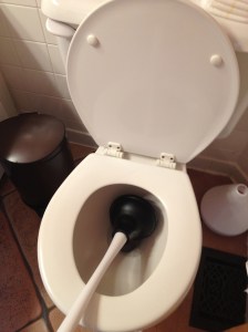 The toilet Zach stopped up for the umpteenth time.