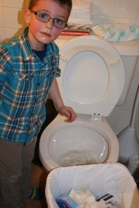 Can you see how much toilet paper is in the trash and how much is STILL in the toilet?